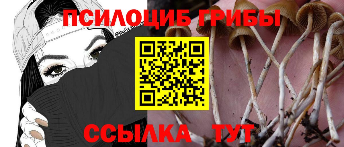 Галлюциногенные грибы прущие грибы  Вход с VPN  Кольчугино  Псилоцибиновые грибы прущие грибы 